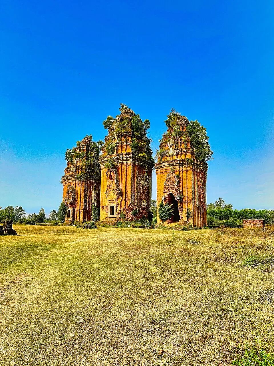 Hình minh họa: Ngày hội Gia đình Phật giáo Bình Dương 2026 Hình minh họa: Ngày hội Gia đình Phật giáo Bình Dương 2026